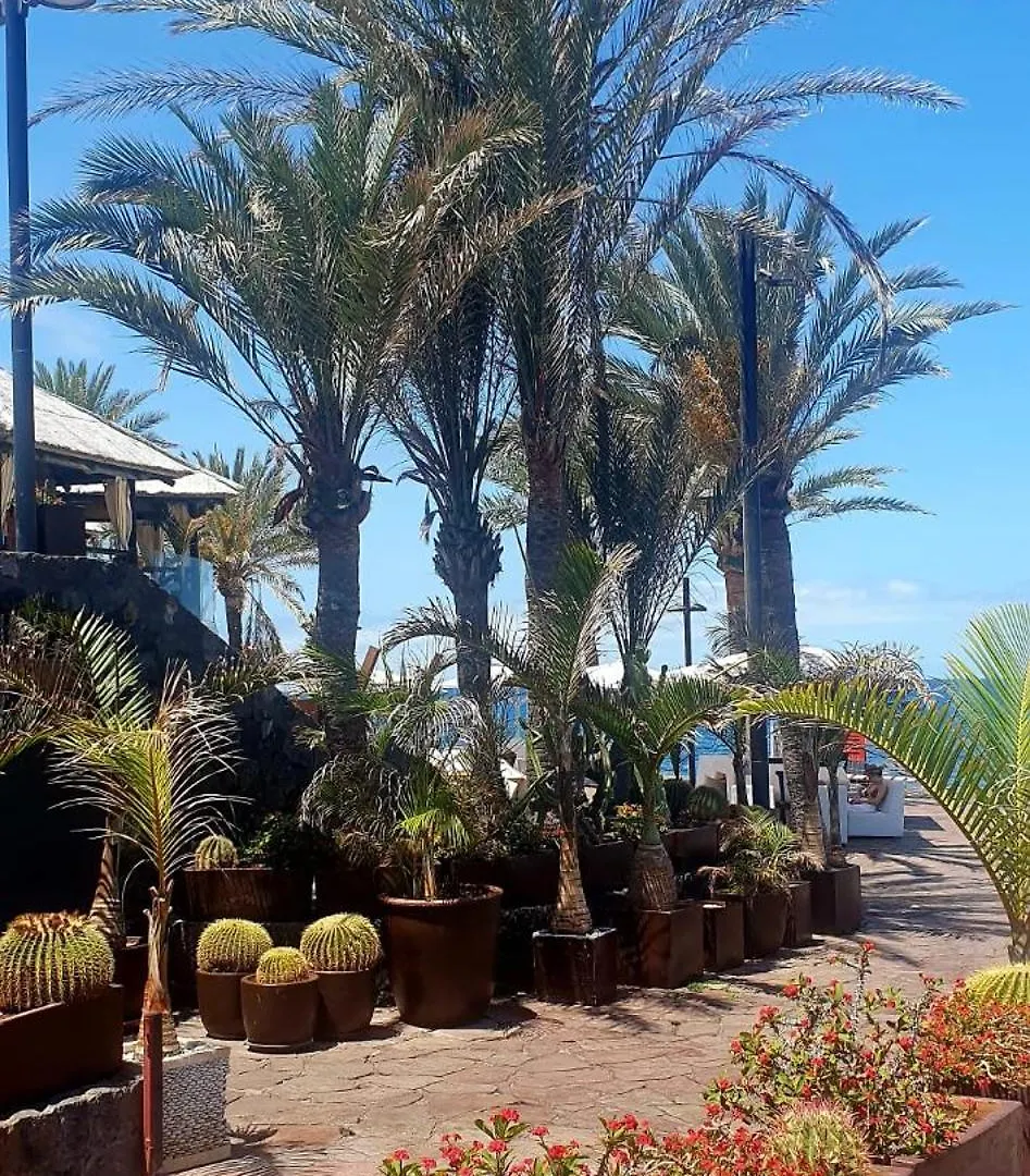 Wonderful White Appartament In Las Tortugas Playa de las Americas  Playa de las Americas (Tenerife)