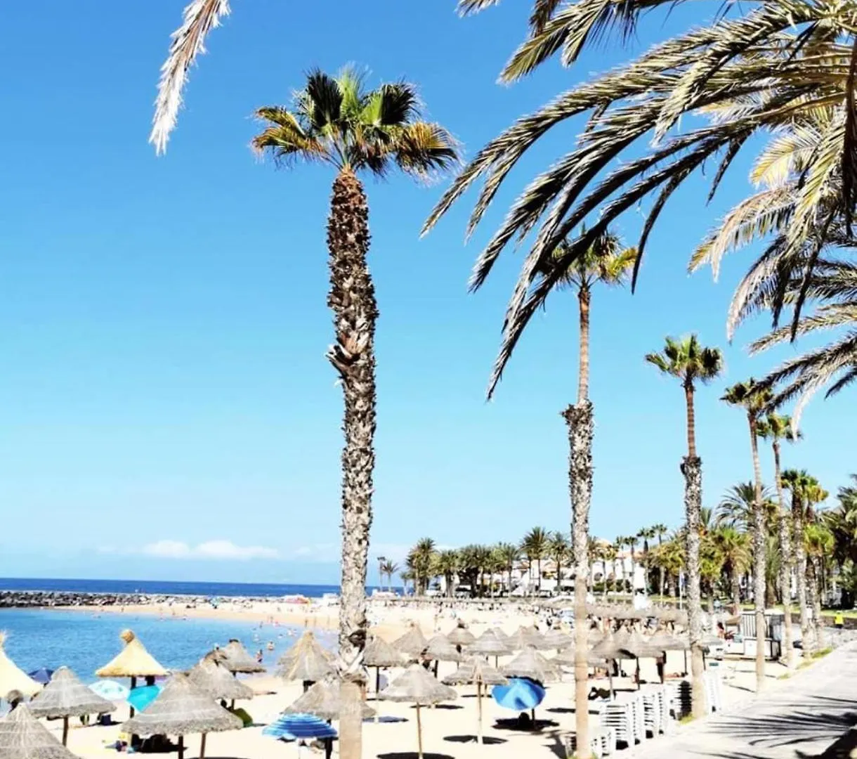Wonderful White Appartament In Las Tortugas Playa de las Americas  Spain
