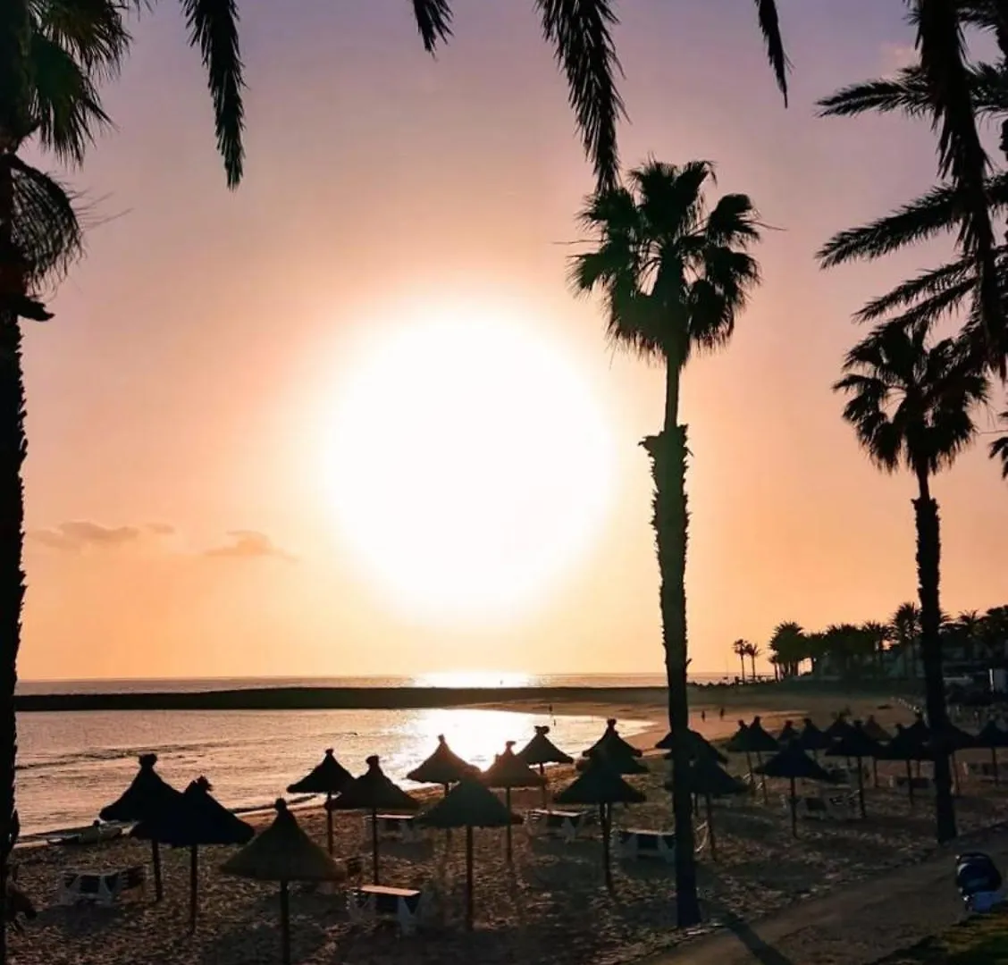 Wonderful White Appartament In Las Tortugas Playa de las Americas  Apartment Playa de las Americas (Tenerife)